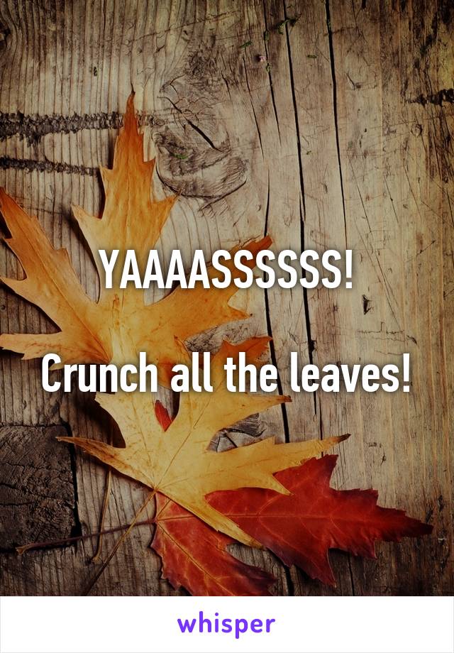 YAAAASSSSSS!

Crunch all the leaves!