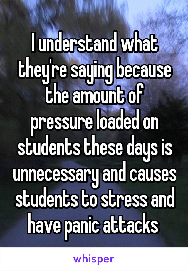 I understand what they're saying because the amount of pressure loaded on students these days is unnecessary and causes students to stress and have panic attacks 