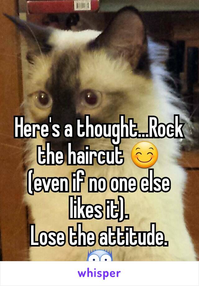 Here's a thought...Rock the haircut 😊
(even if no one else likes it).
Lose the attitude.
😨