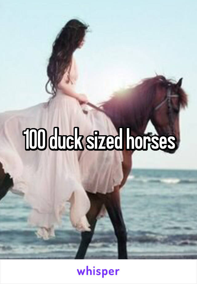 100 duck sized horses