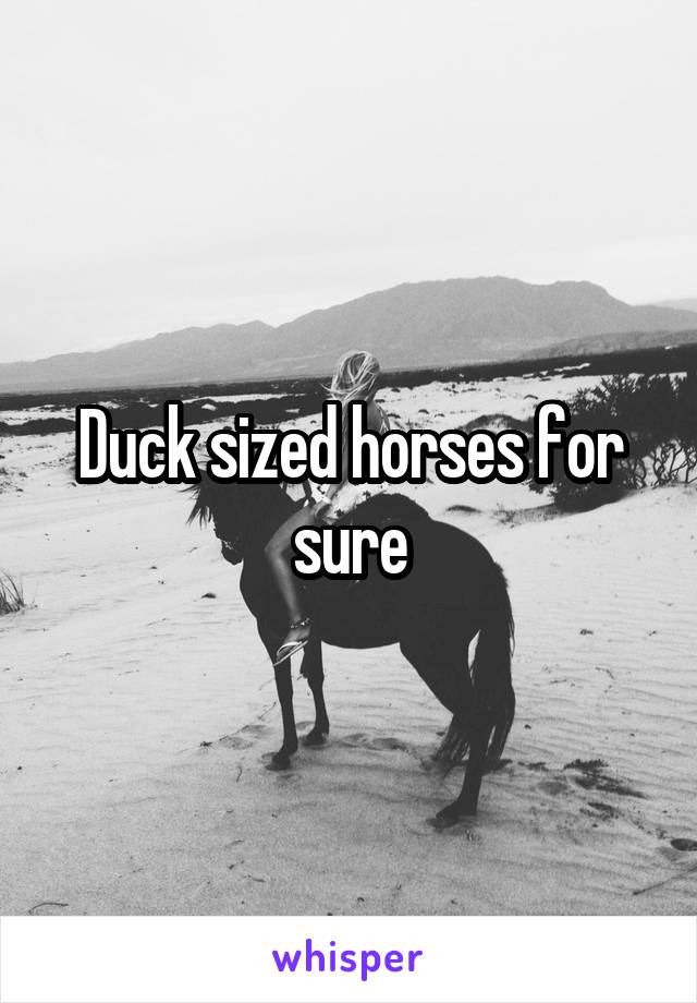 Duck sized horses for sure