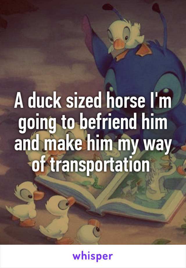 A duck sized horse I'm going to befriend him and make him my way of transportation 