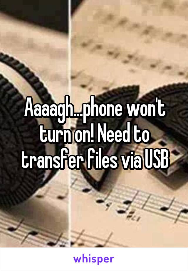 Aaaagh...phone won't turn on! Need to transfer files via USB