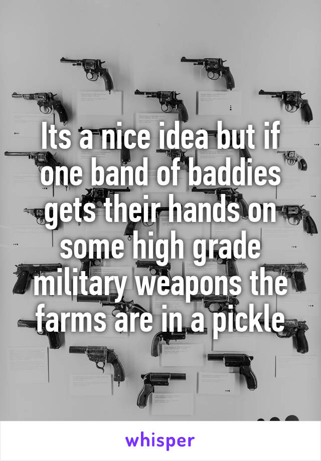 Its a nice idea but if one band of baddies gets their hands on some high grade military weapons the farms are in a pickle