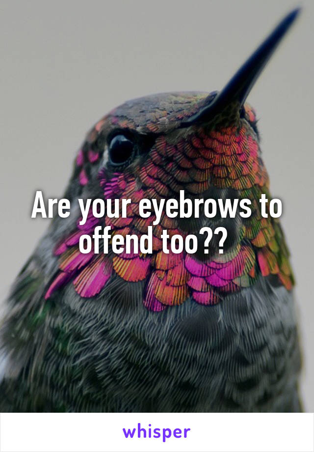 Are your eyebrows to offend too?? 