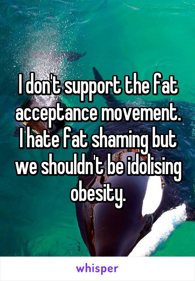 I don't support the fat acceptance movement. I hate fat shaming but we shouldn't be idolising obesity.