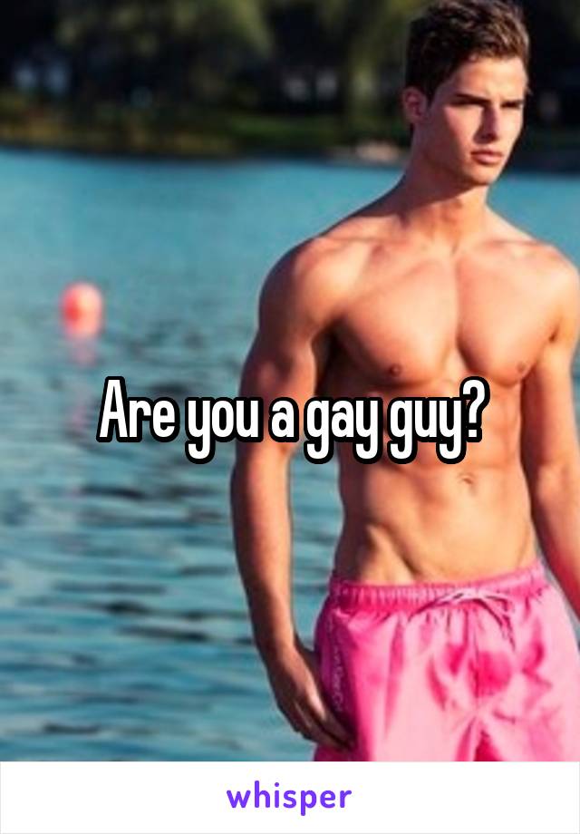 Are you a gay guy?