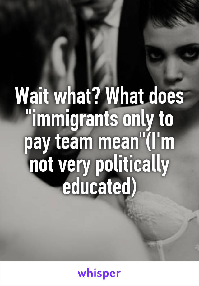 Wait what? What does "immigrants only to pay team mean"(I'm not very politically educated)