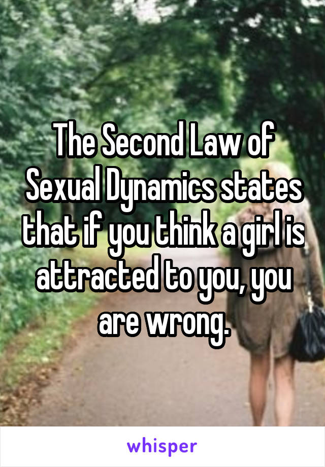 The Second Law of Sexual Dynamics states that if you think a girl is attracted to you, you are wrong.