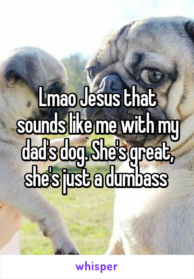 Lmao Jesus that sounds like me with my dad's dog. She's great, she's just a dumbass 