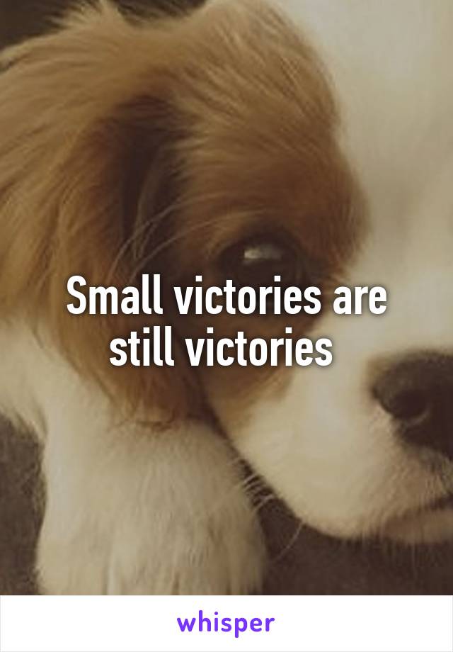 Small victories are still victories 