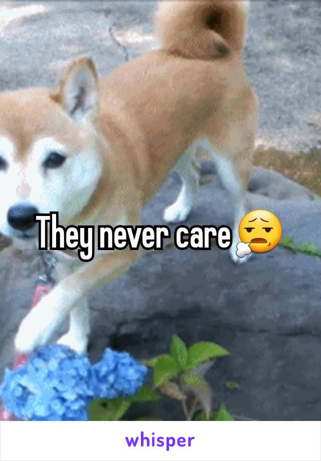 They never care😧