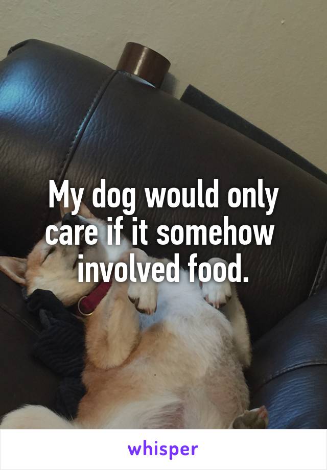 My dog would only care if it somehow  involved food.
