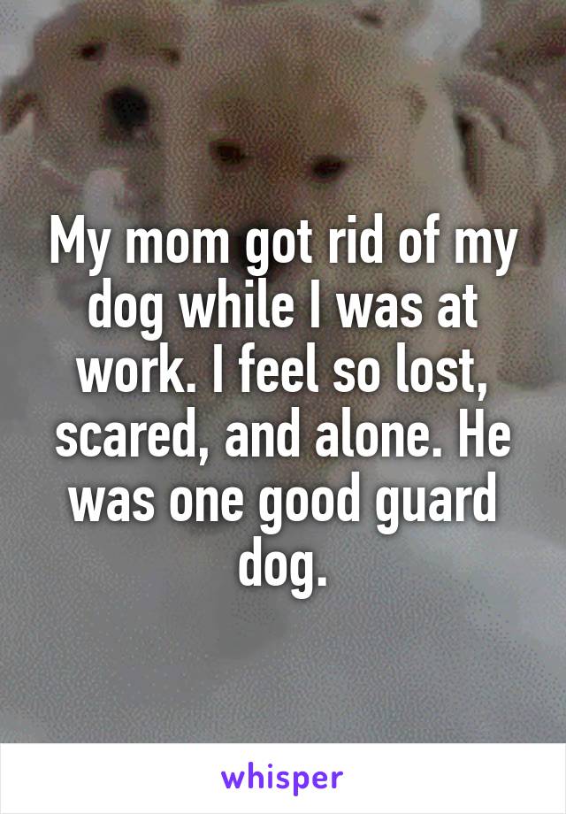 My mom got rid of my dog while I was at work. I feel so lost, scared, and alone. He was one good guard dog.