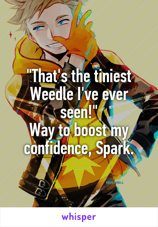 "That's the tiniest Weedle I've ever seen!"
Way to boost my confidence, Spark.