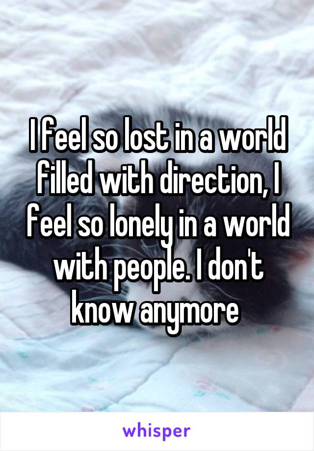 I feel so lost in a world filled with direction, I feel so lonely in a world with people. I don't know anymore 