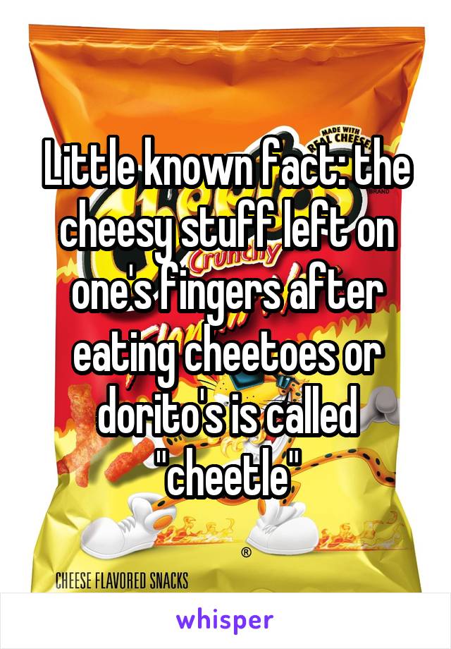 Little known fact: the cheesy stuff left on one's fingers after eating cheetoes or dorito's is called "cheetle"