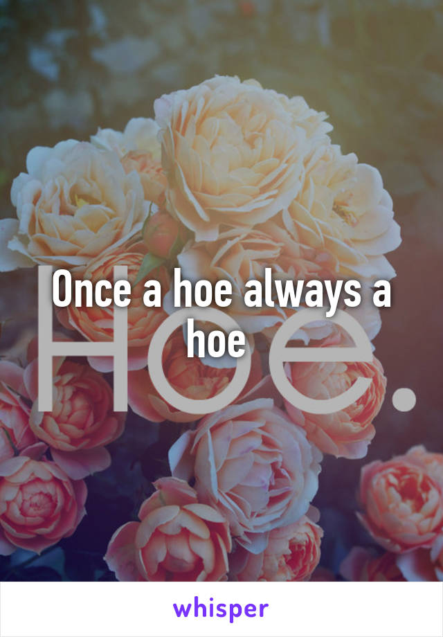 Once a hoe always a hoe 