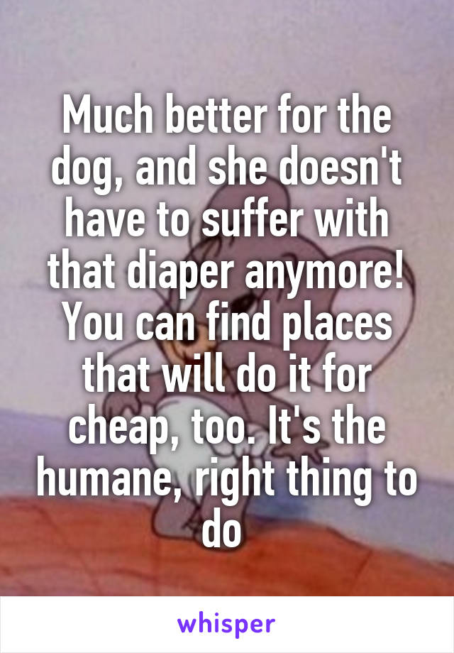 Much better for the dog, and she doesn't have to suffer with that diaper anymore! You can find places that will do it for cheap, too. It's the humane, right thing to do 