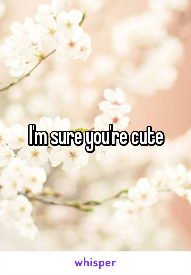 I'm sure you're cute