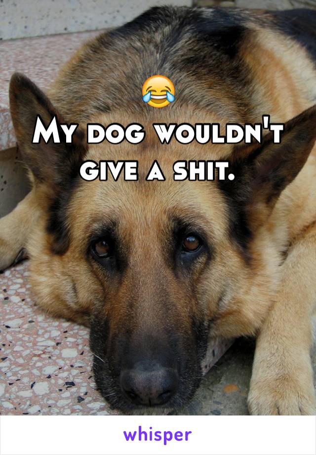 😂
My dog wouldn't give a shit. 