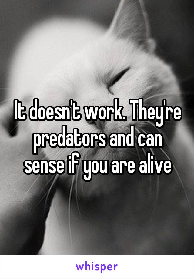 It doesn't work. They're predators and can sense if you are alive