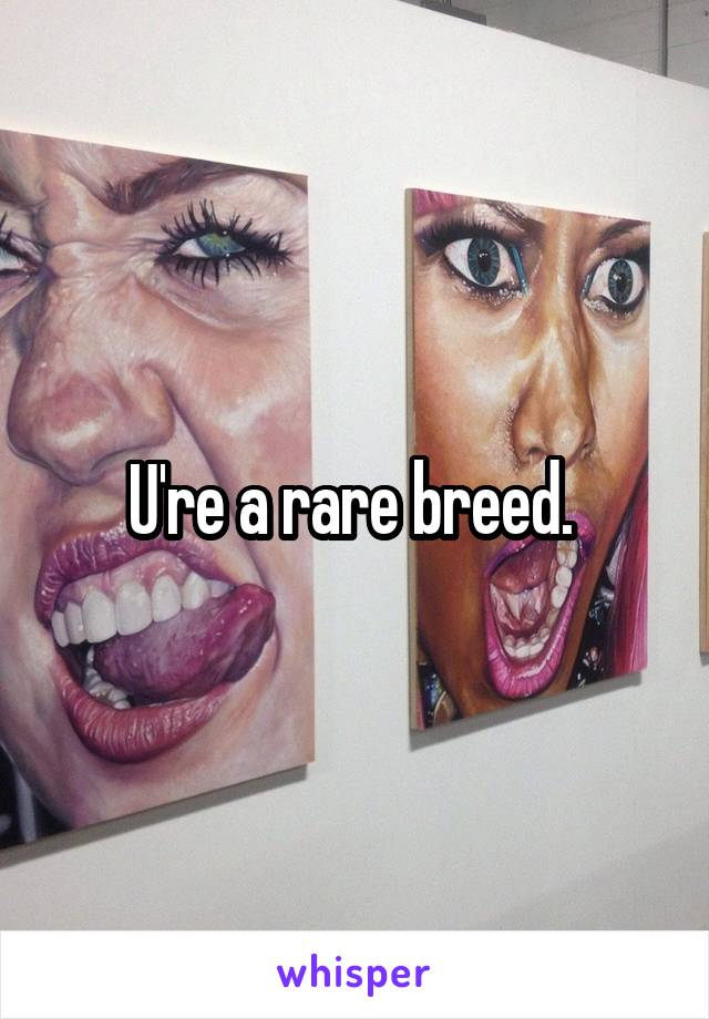 U're a rare breed. 