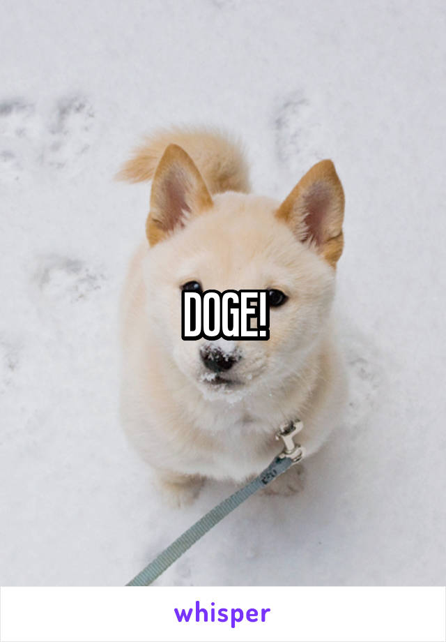 DOGE!