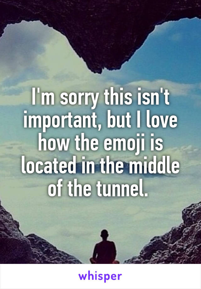 I'm sorry this isn't important, but I love how the emoji is located in the middle of the tunnel. 
