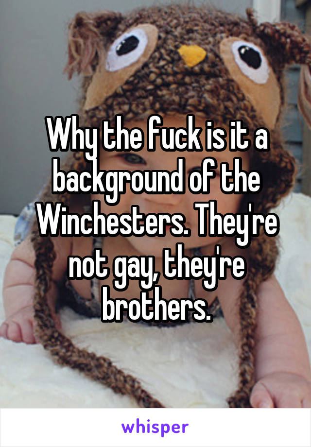Why the fuck is it a background of the Winchesters. They're not gay, they're brothers.
