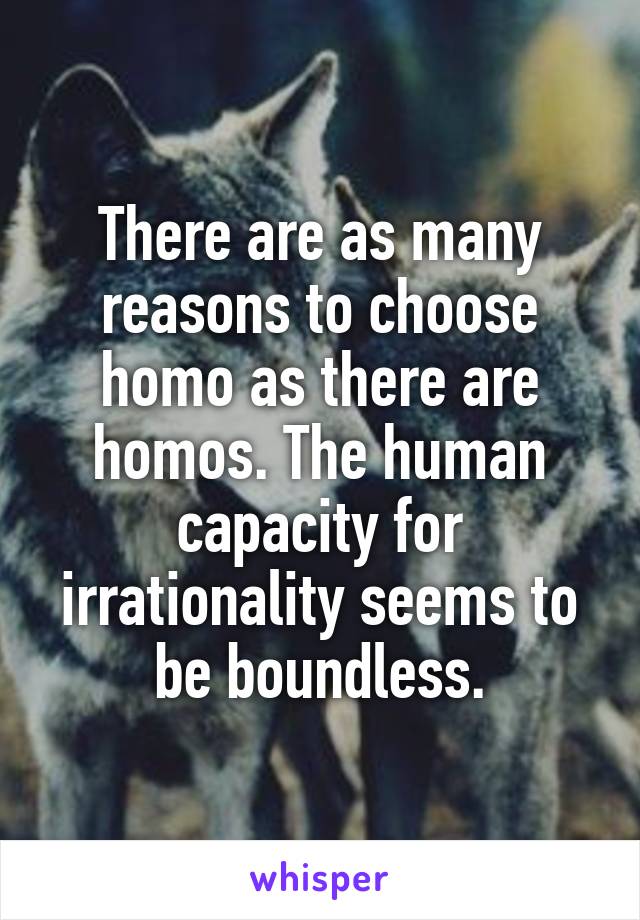 There are as many reasons to choose homo as there are homos. The human capacity for irrationality seems to be boundless.