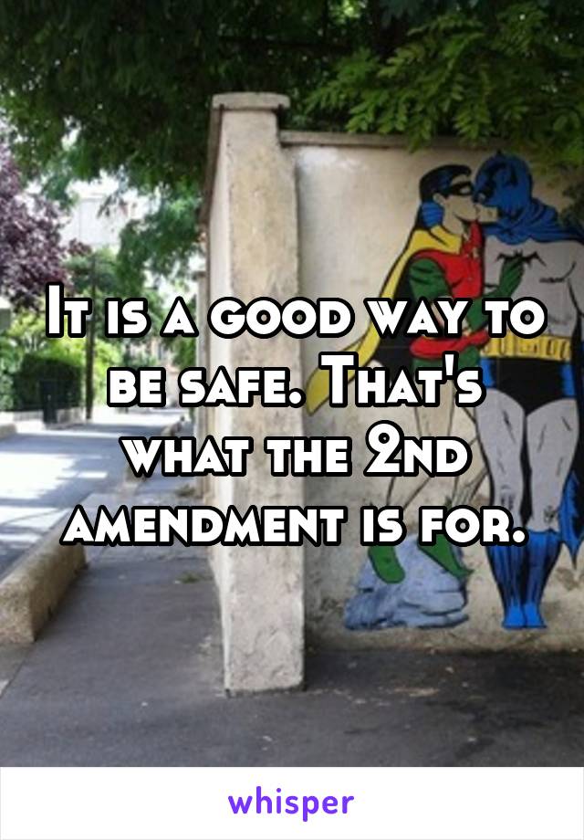 It is a good way to be safe. That's what the 2nd amendment is for.