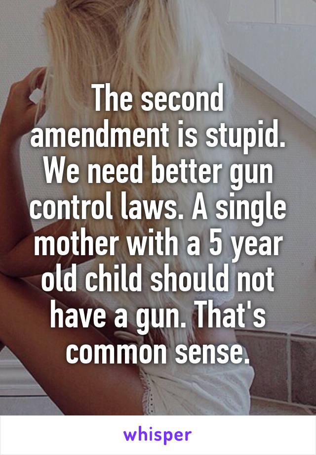 The second amendment is stupid. We need better gun control laws. A single mother with a 5 year old child should not have a gun. That's common sense.