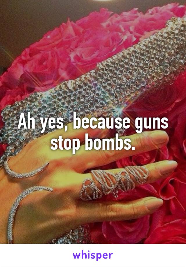 Ah yes, because guns stop bombs.