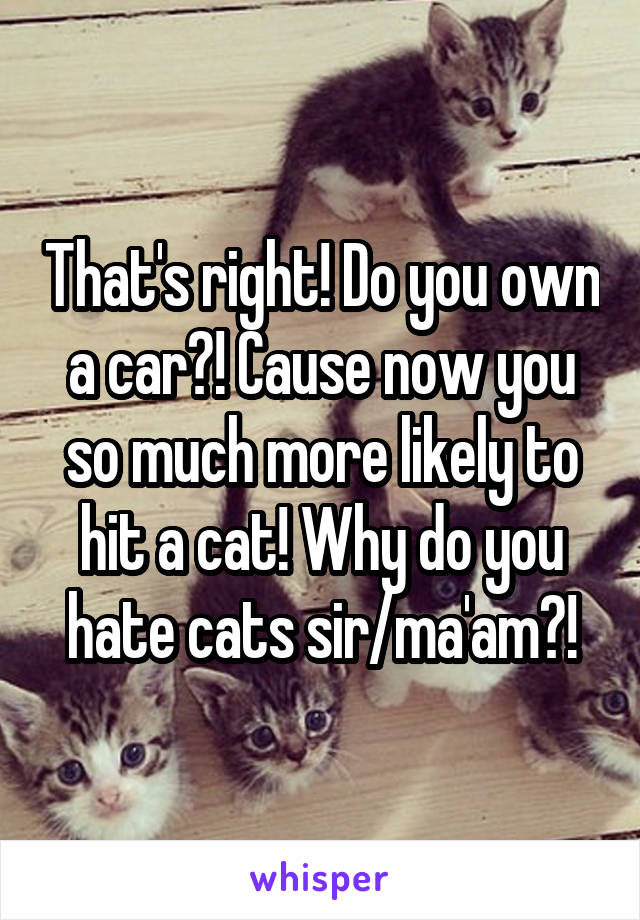 That's right! Do you own a car?! Cause now you so much more likely to hit a cat! Why do you hate cats sir/ma'am?!