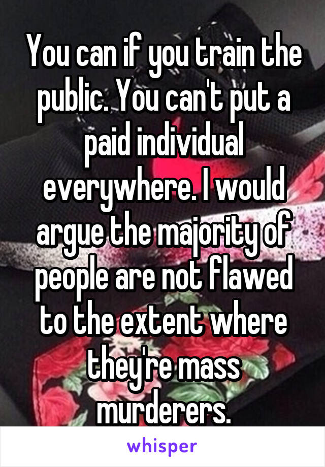 You can if you train the public. You can't put a paid individual everywhere. I would argue the majority of people are not flawed to the extent where they're mass murderers.