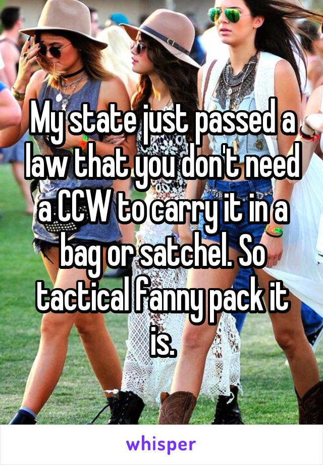 My state just passed a law that you don't need a CCW to carry it in a bag or satchel. So tactical fanny pack it is.