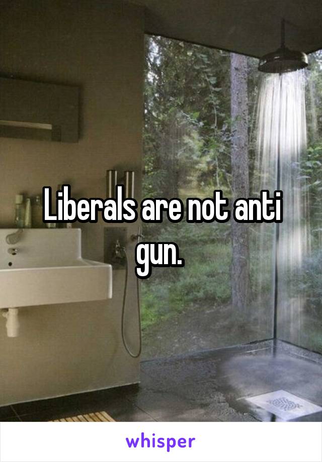 Liberals are not anti gun. 