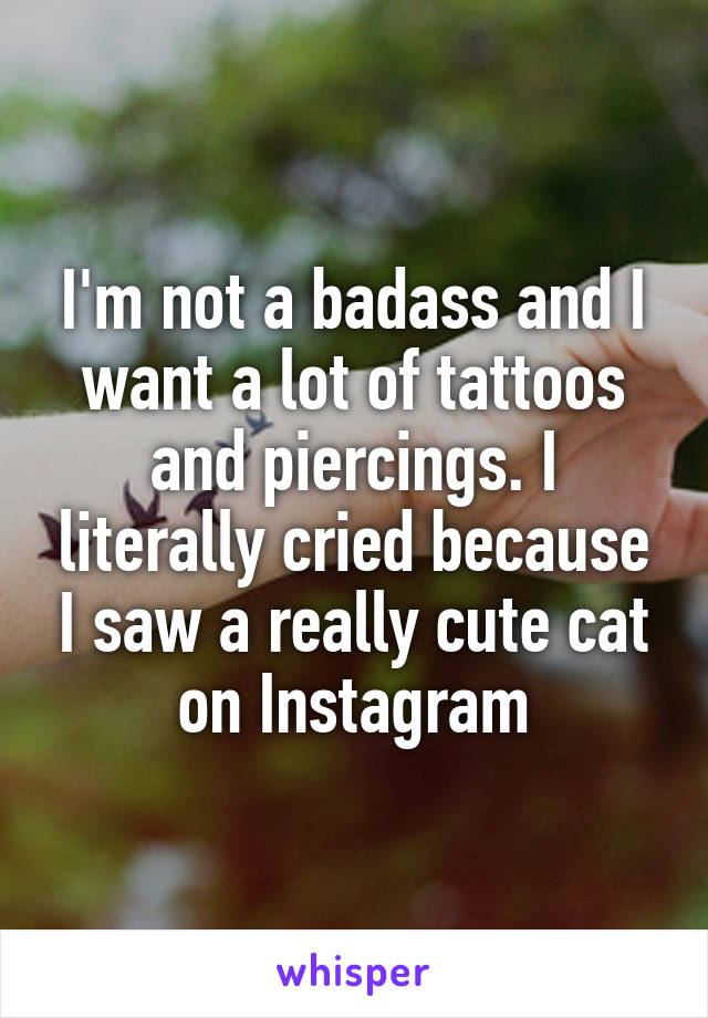 I'm not a badass and I want a lot of tattoos and piercings. I literally cried because I saw a really cute cat on Instagram