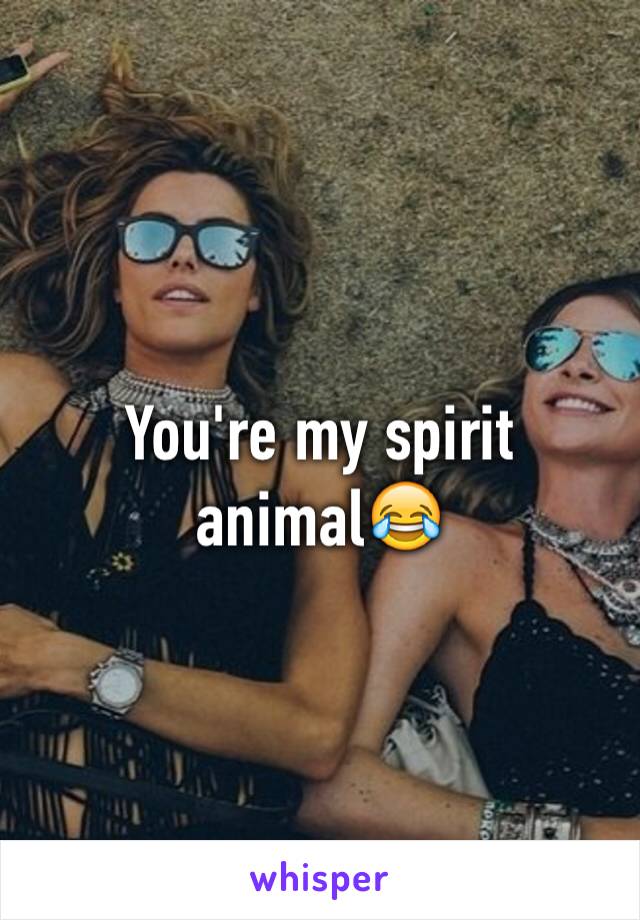 You're my spirit animal😂