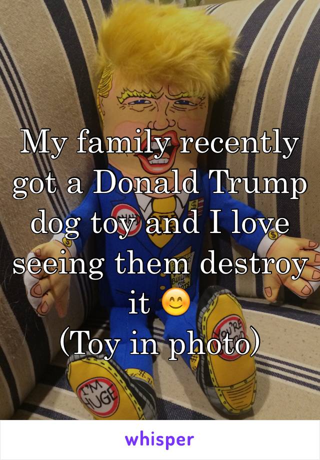My family recently got a Donald Trump dog toy and I love seeing them destroy it 😊
(Toy in photo)
