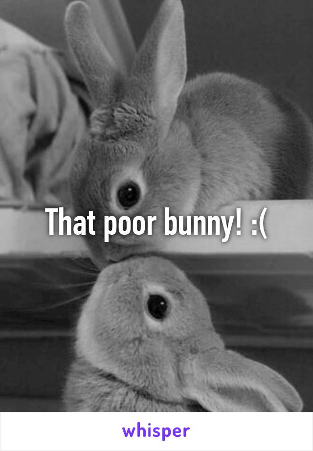 That poor bunny! :(