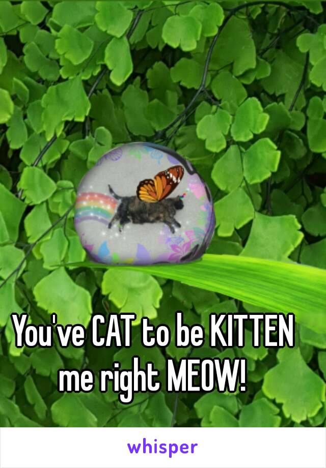 You've CAT to be KITTEN me right MEOW! 