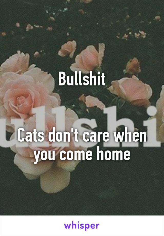 Bullshit


Cats don't care when you come home
