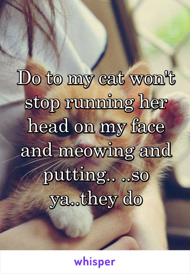 Do to my cat won't stop running her head on my face and meowing and putting.. ..so ya..they do
