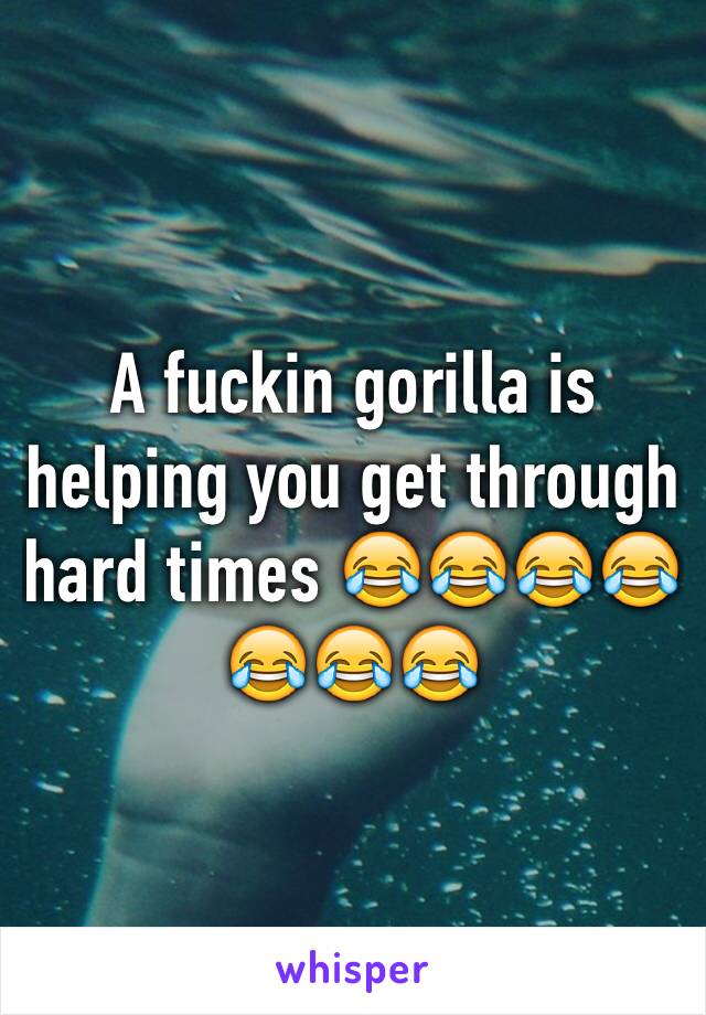A fuckin gorilla is helping you get through hard times 😂😂😂😂😂😂😂