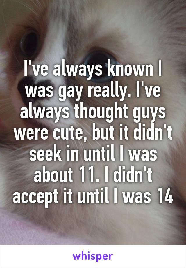 I've always known I was gay really. I've always thought guys were cute, but it didn't seek in until I was about 11. I didn't accept it until I was 14