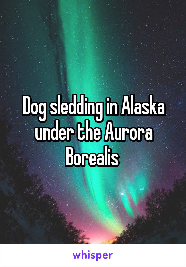 Dog sledding in Alaska under the Aurora Borealis 