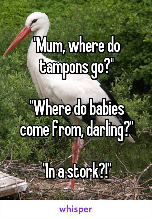 "Mum, where do tampons go?"

"Where do babies come from, darling?"

"In a stork?!"