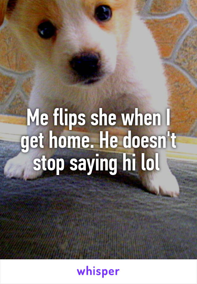 Me flips she when I get home. He doesn't stop saying hi lol 
